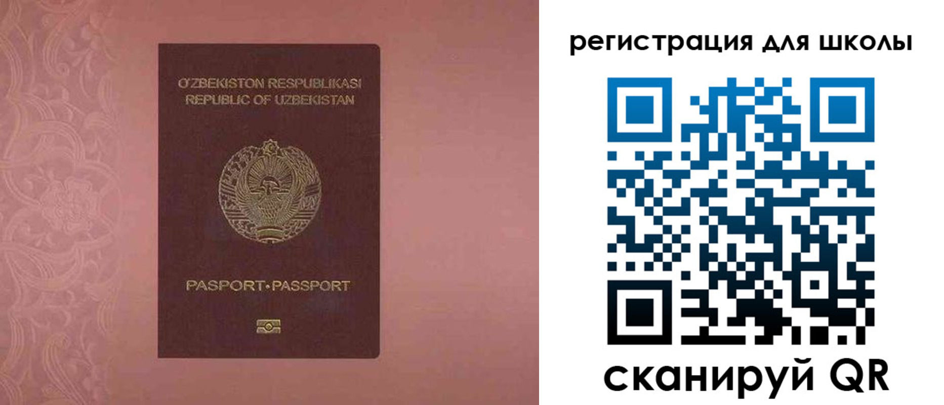 прописка для школы в Мурино