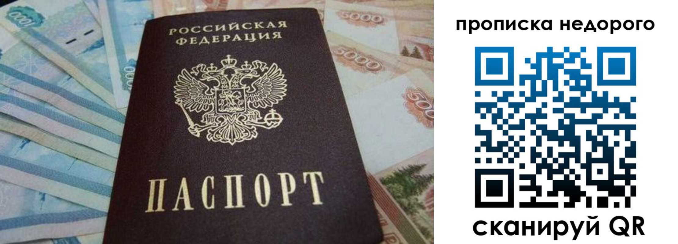 временная регистрация поиск в Мурино